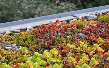 the cost of Higher Berry End green roof installation