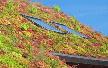 Higher Berry End living roof systems